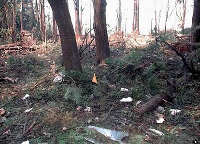 Débris du vol 93 dans la forêt